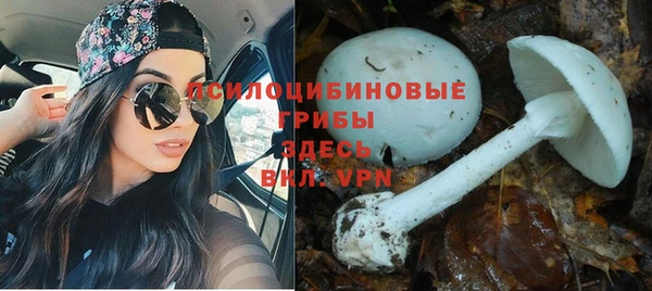 mdma Протвино