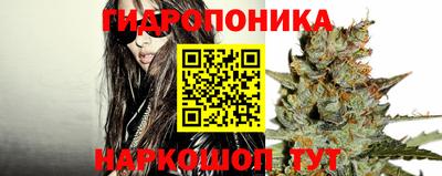 винт Кимры