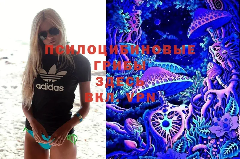 KRAKEN онион  Коломна  Галлюциногенные грибы MAGIC MUSHROOMS 