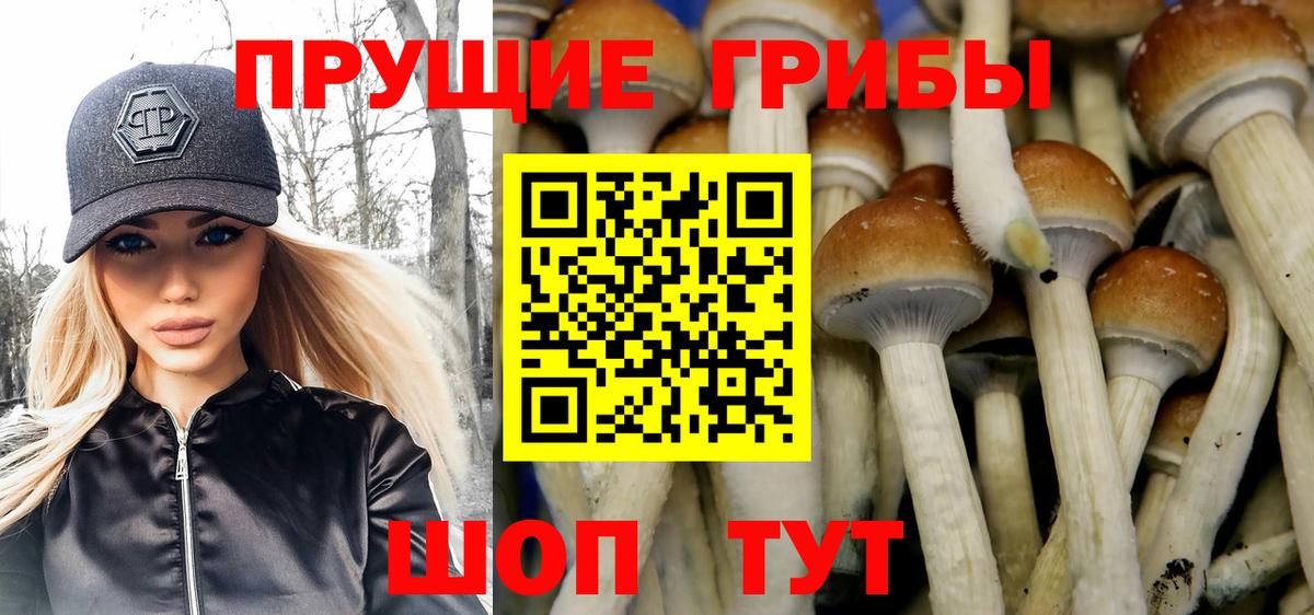 Галлюциногенные грибы Psilocybine cubensis  Вход с VPN  Коломна 