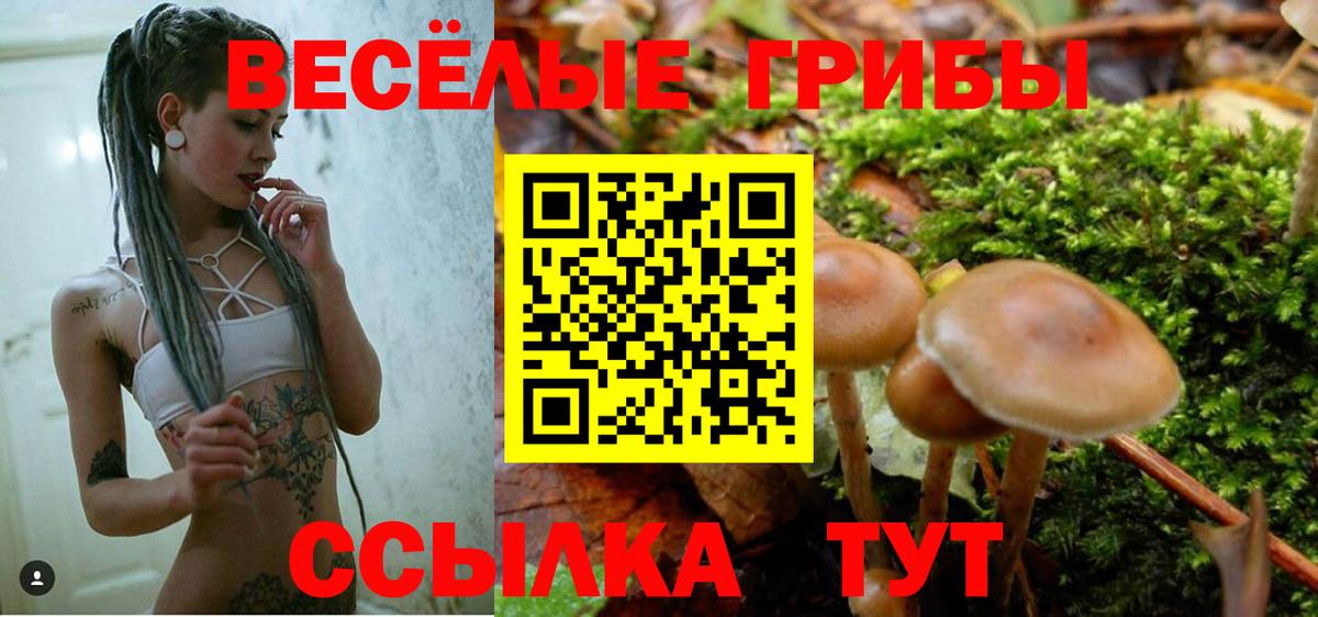 Галлюциногенные грибы Cubensis Коломна