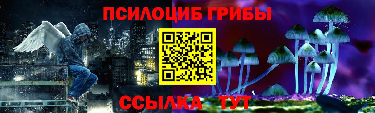 Псилоцибиновые грибы ЛСД  Коломна  Псилоцибиновые грибы GOLDEN TEACHER 