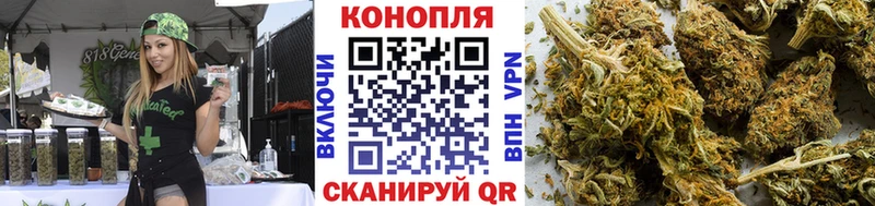 Бошки Шишки планчик  кракен зеркало  Коломна 